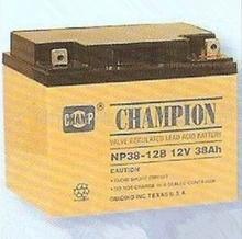 广东冠军NP120-12蓄电池